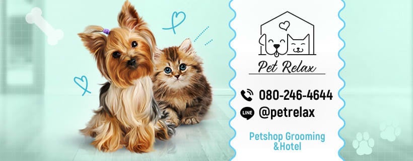 เพ็ท รีแลกซ์ Pet Relax