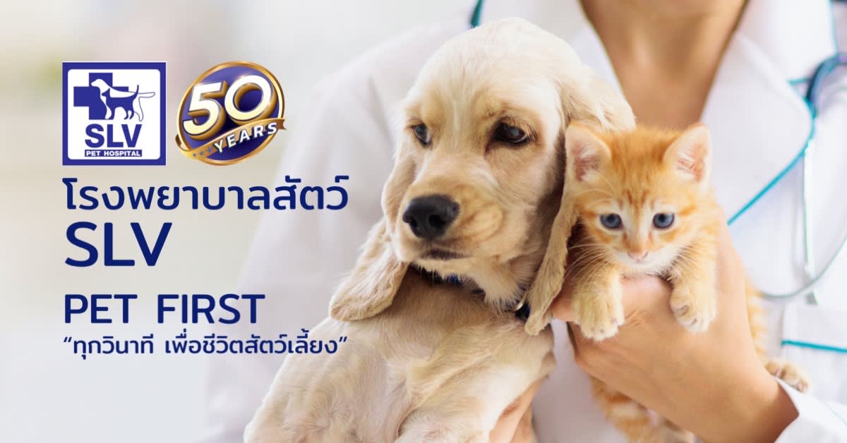 โรงพยาบาลสัตว์สวนหลวงสัตวแพทย์ SLV Pet Hospital