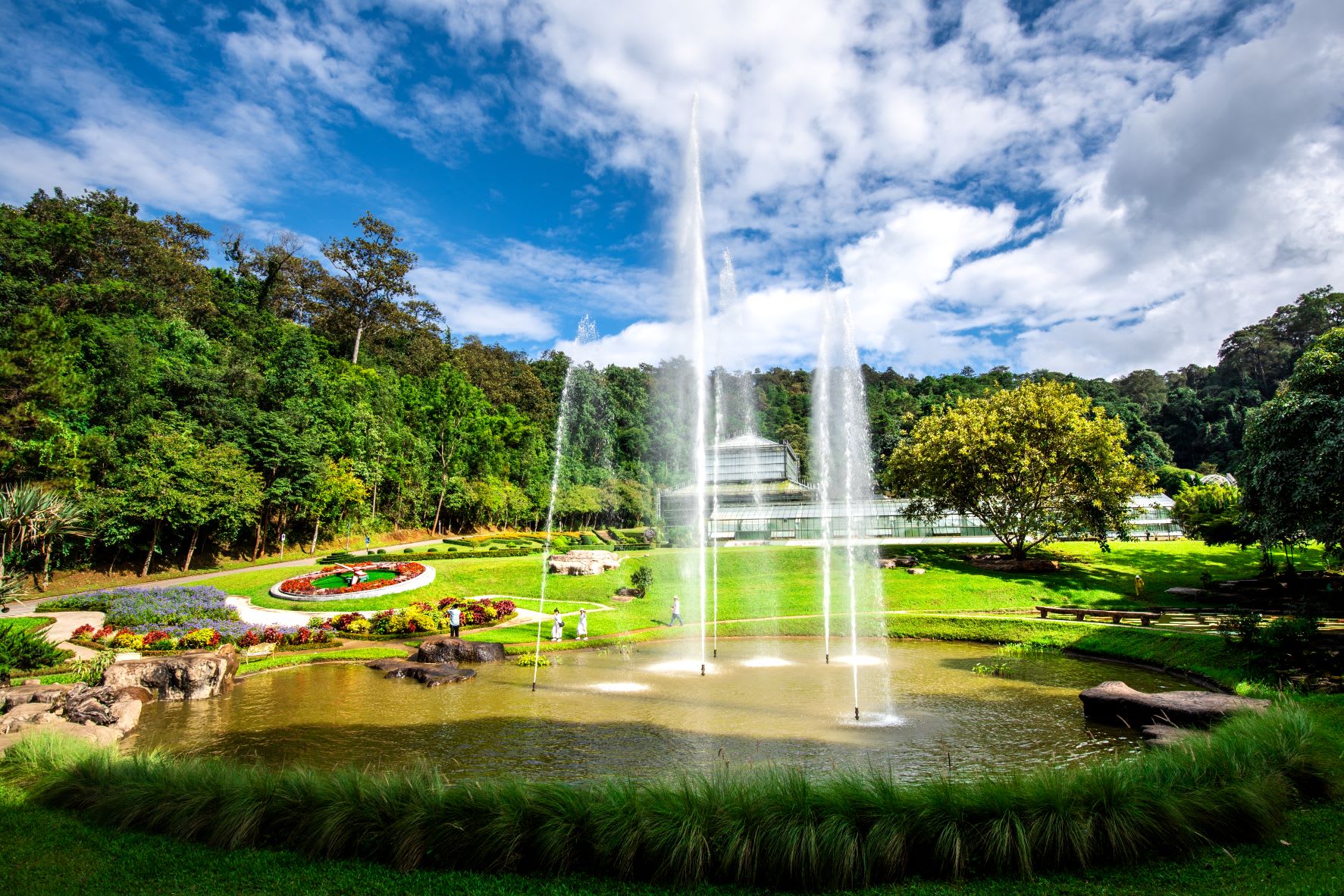 สวนพฤษศาสตร์สมเด็จพระนางเจ้าสิริกิตติ์ Queen Sirikit Botanic Garden