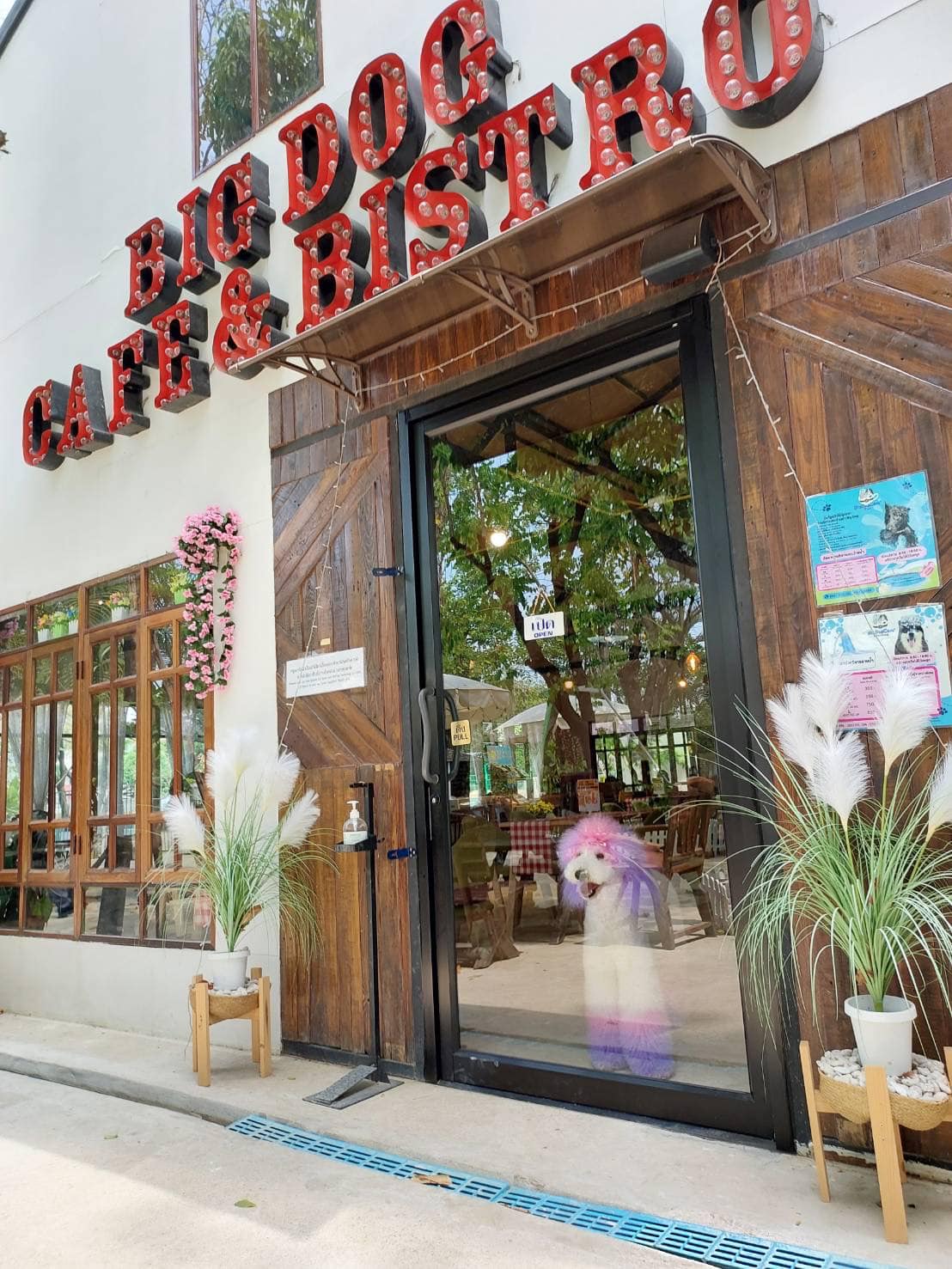 คาเฟ่หมา กรุงเทพ Big Dog Cafe