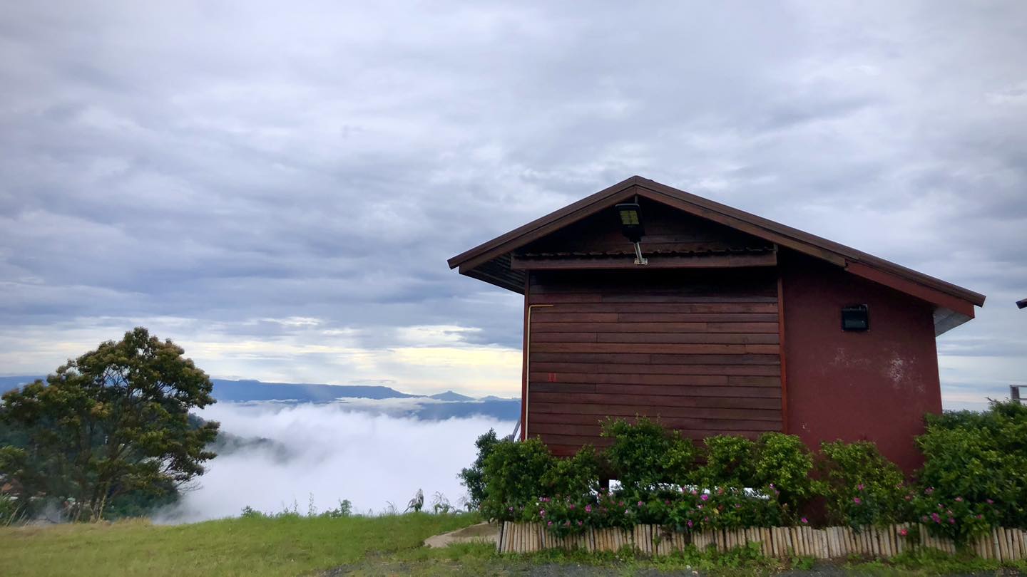 วิมานหมอก ภูทับเบิก (Wimanmok Phu Tub Berk) - ภูทับเบิก