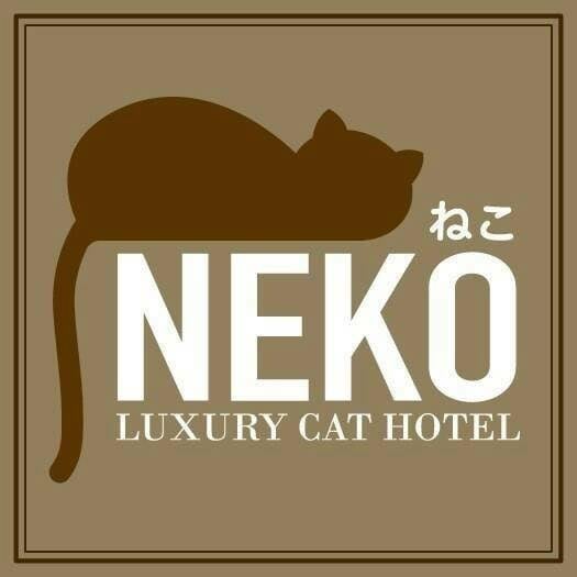 โรงแรมแมว Neko Luxury Cat Hotel