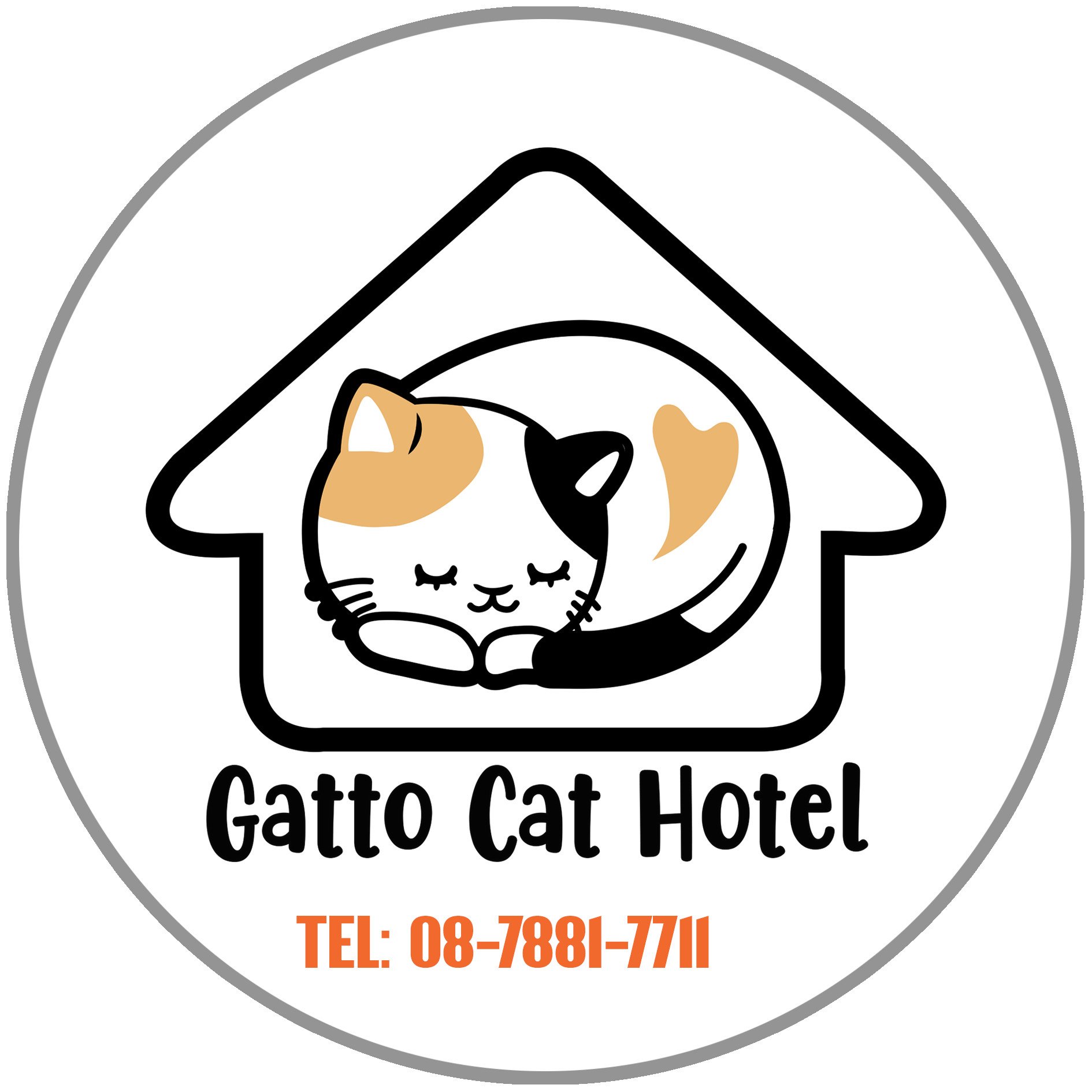 โรงแรมแมว Gatto Cat hotel