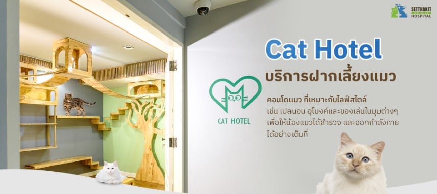 โรงแรมแมว Setthakit Animal Hospital