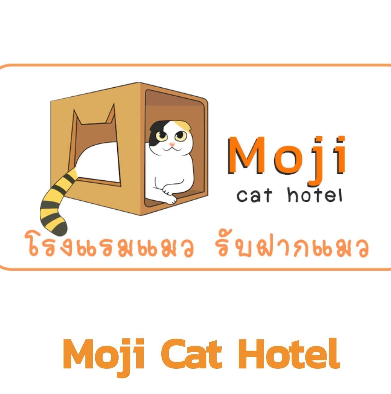 โรงแรมแมว Moji Cat Hotel