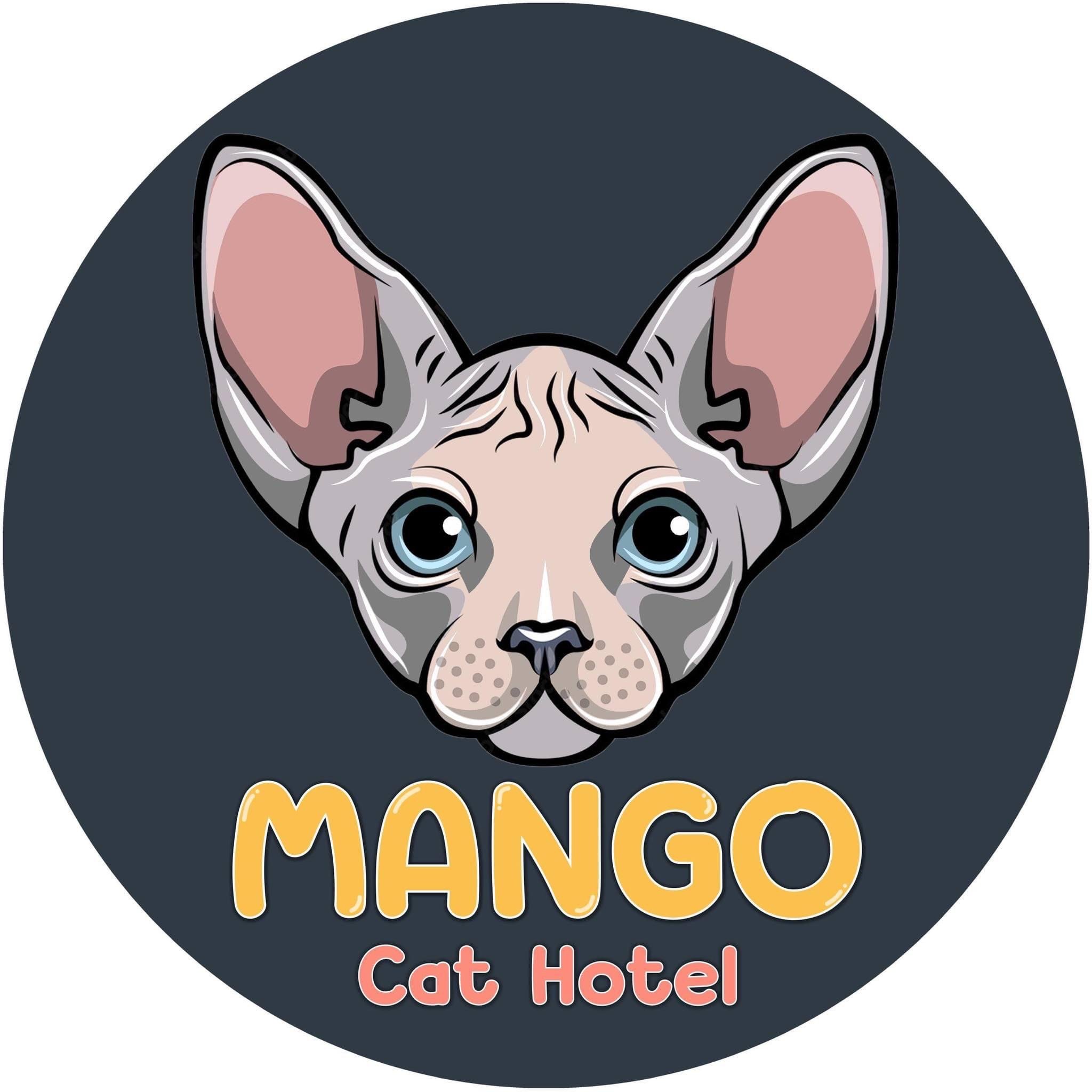 โรงแรมแมว Mango Cat Hotel