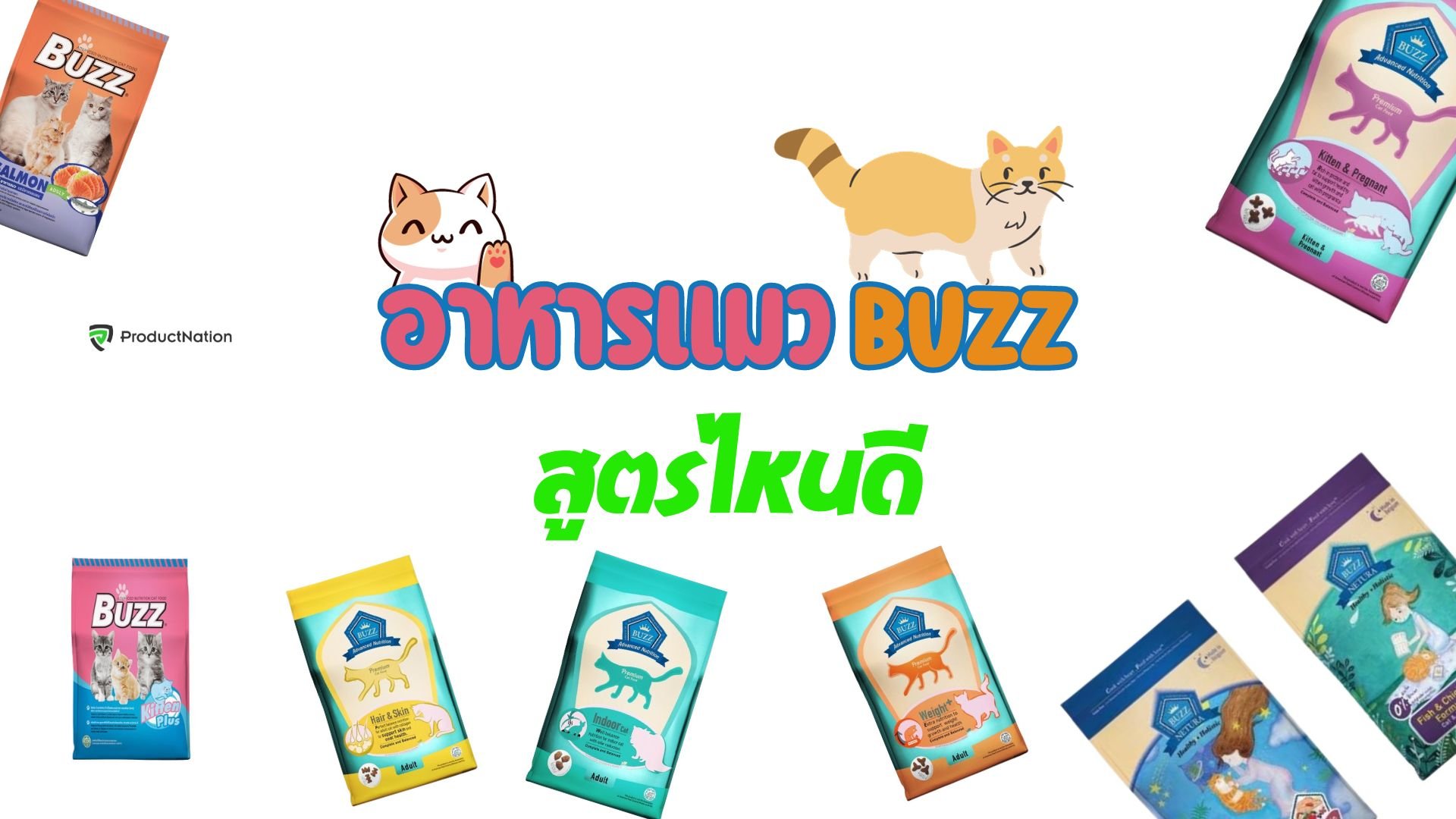 อาหารแมว Buzz สูตรไหนดี ขนสลวย นุ่มฟู สุขภาพดี ไม่เค็ม-cover