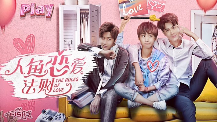 ซีรี่ย์ จางฮ่าวเหวย (Zhang Hao Wei) : The Rules of Love กฎแห่งความรัก