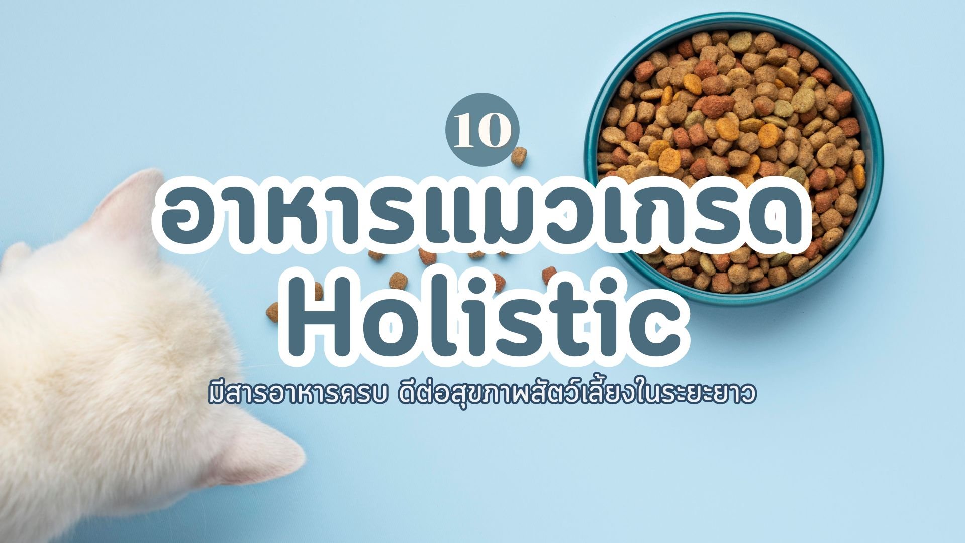 อาหารแมวเกรด Holistic ยี่ห้อไหนดี