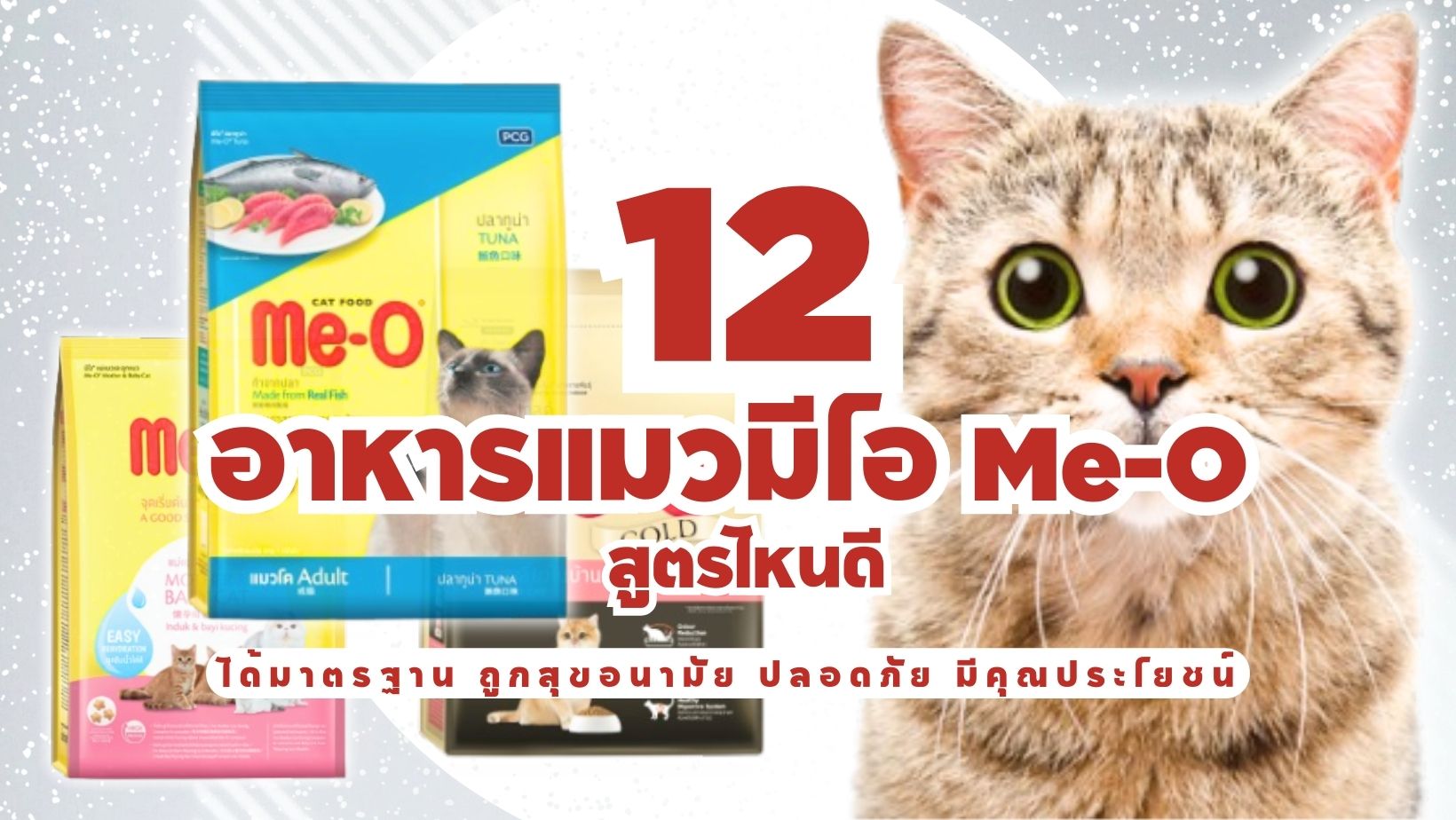 อาหารแมวมีโอ Me-O สูตรไหนดี ได้มาตรฐาน ถูกสุขอนามัย ปลอดภัย มีคุณประโยชน์-cover