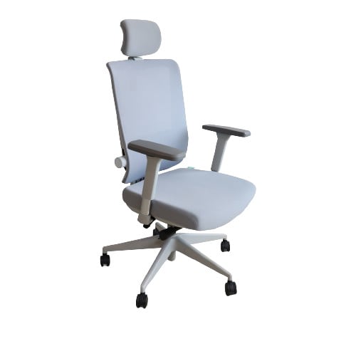 เก้าอี้สุขภาพ Bewell รุ่น Ergonomic Chair Esteem