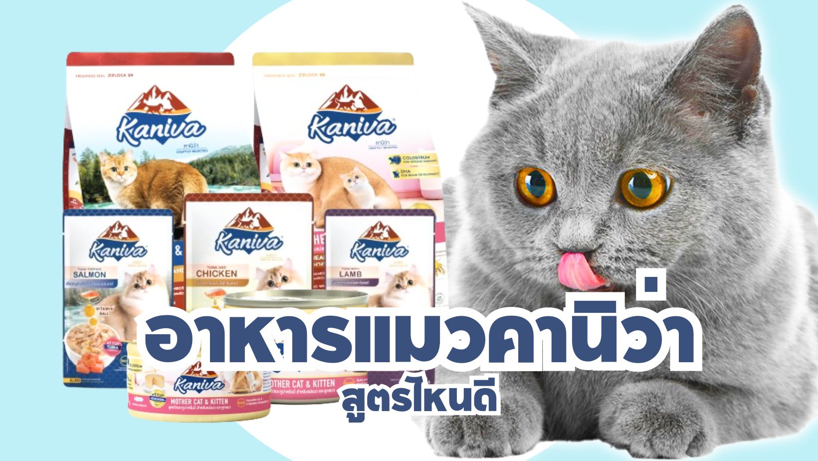 รีวิว Kaniva อาหารแมวคานิว่า สูตรไหนดี หอม อร่อย โซเดียมต่ำ รู้ใจแมวตัวจริง-ProductNation-Cover