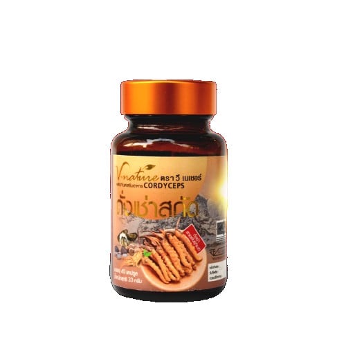 VNATURE Cordyceps