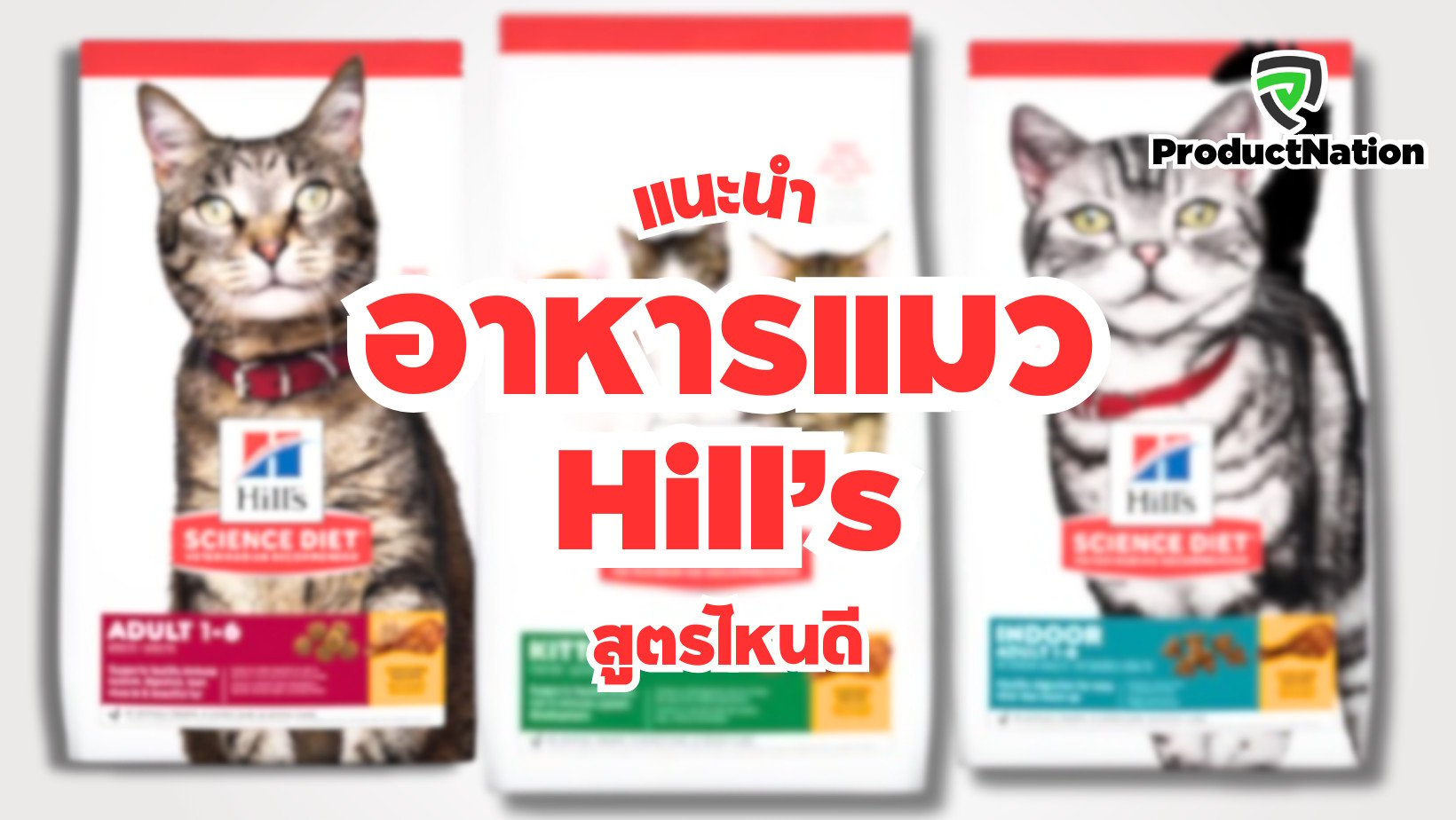 แนะนำ อาหารแมว Hill’s สูตรไหนดี ProductNation Cover