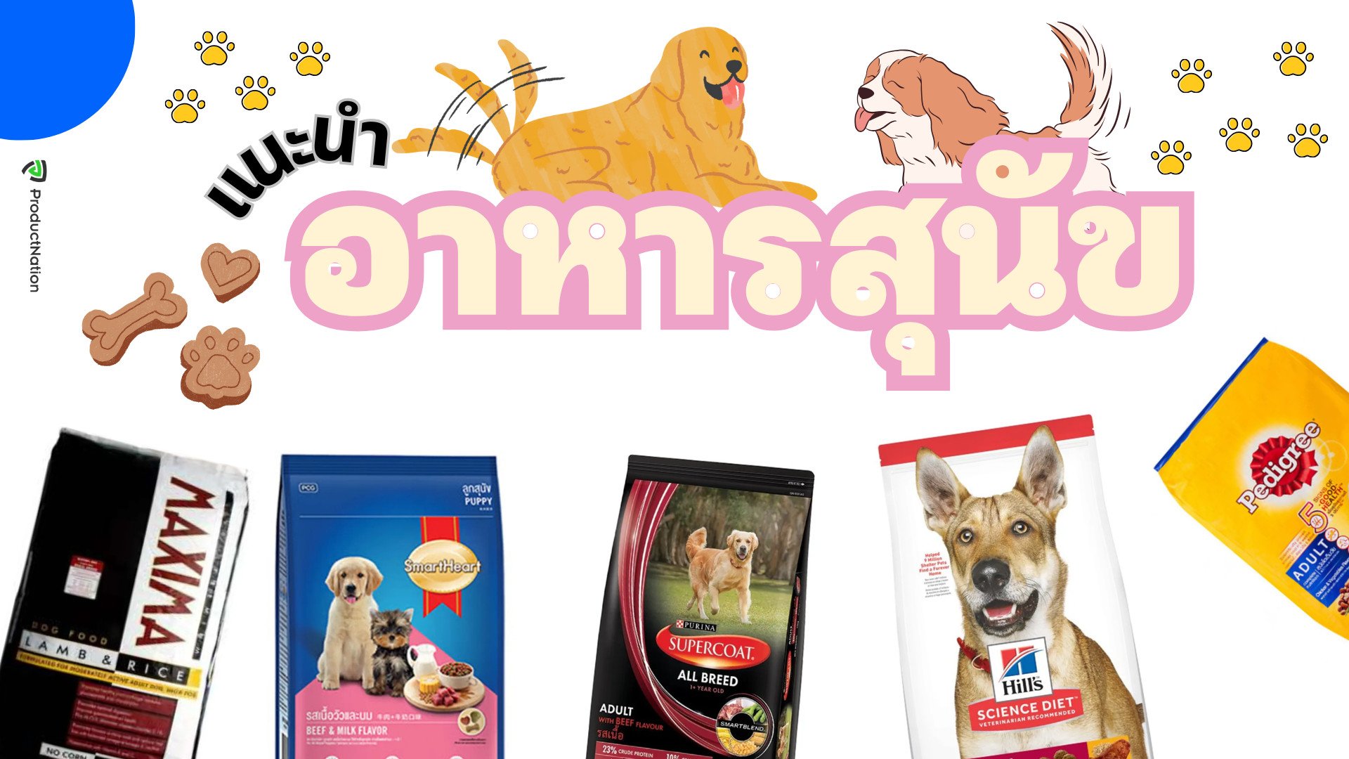 แนะนำ อาหารหมา 15 แบรนด์ ยี่ห้อไหนดี รวบรวมอาหารสุนัขที่ดีที่สุดไว้ในโพสต์เดียว สารอาหารครบ ป้องกันโรคไต มีตัวเลือกตั้งแต่สุนัขพันธ์ุเล็กจนแก่ สุขภาพน้องหมาแข็งแรงด้วยอาหารเม็ดคุณภาพ