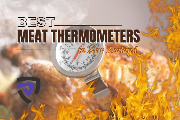 best-meat-thermometer-nz