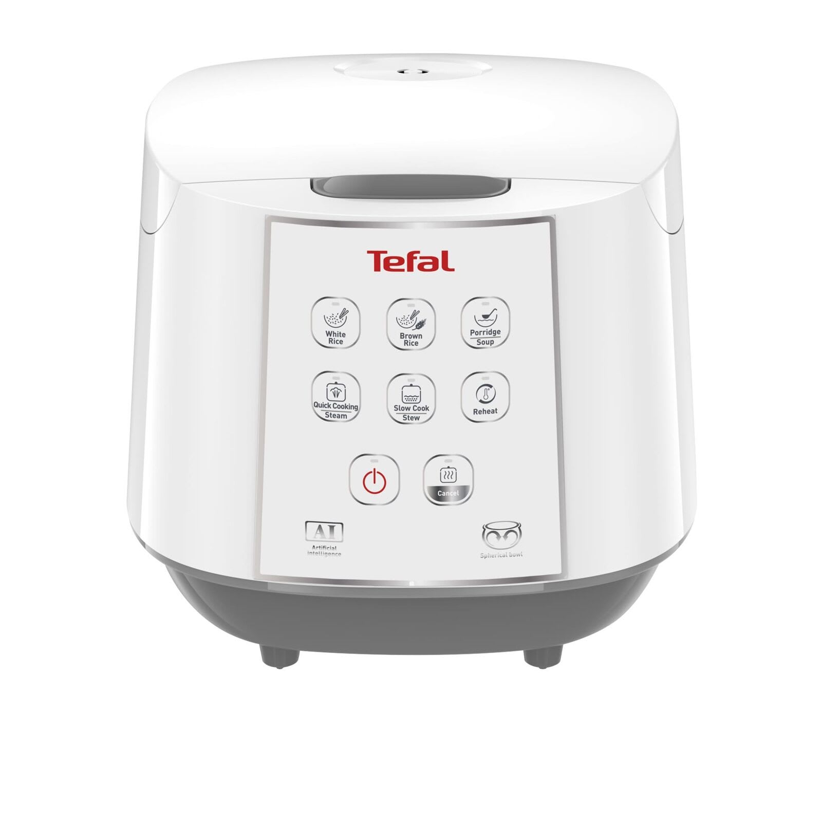 TEFAL Rice and Slow Cooker, White, RK732