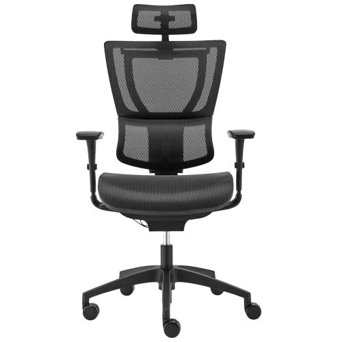 Ergohuman Fit IOO Office Ergonomic Chair