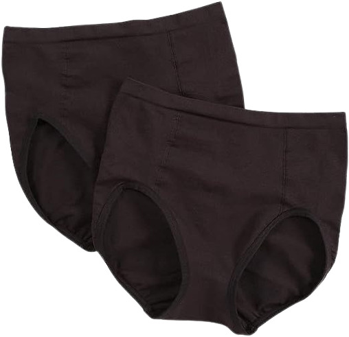 Bali Seamless Ultra Control Brief Shapewear