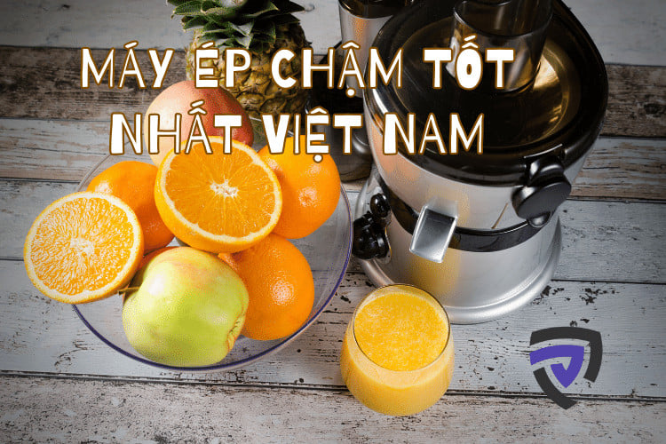 best-slow-juicer-vietnam.png
